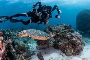 tortue-et-photographe-sous-marin-supe